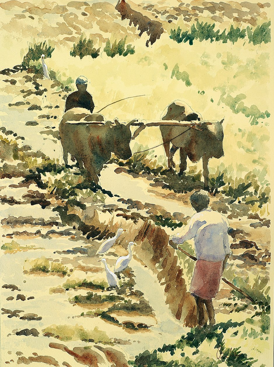 Preparing the paddy field by Wilson Clive