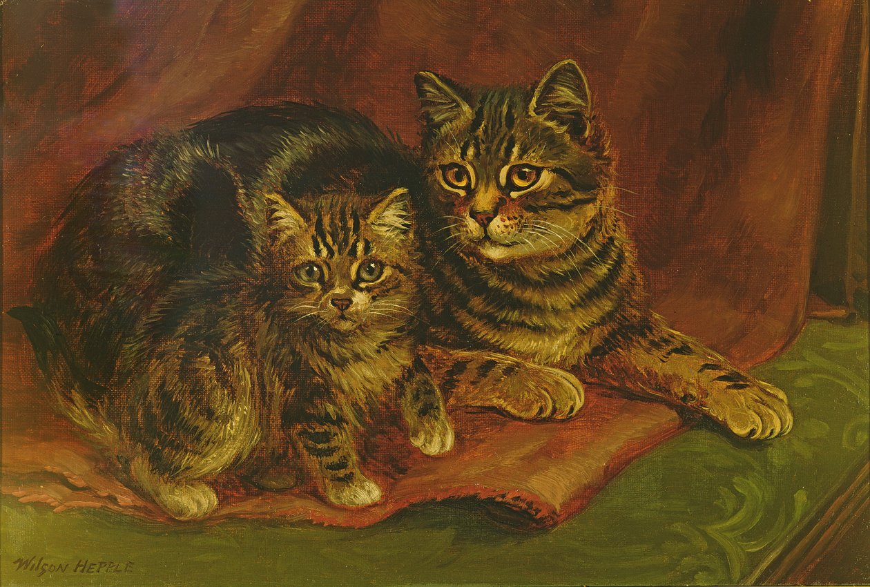 A Tabby Cat with a Kitten by Wilson Hepple