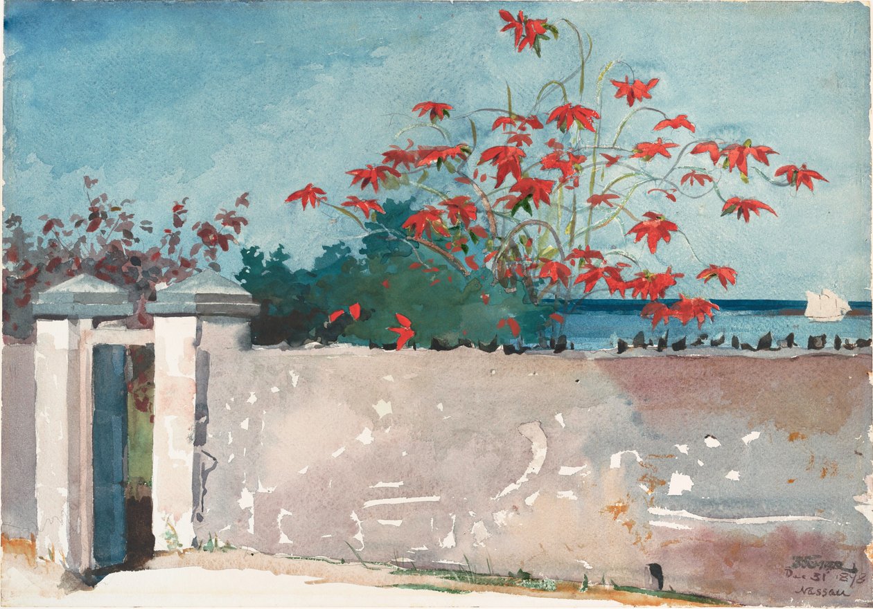 A Wall, Nassau by Winslow Homer
