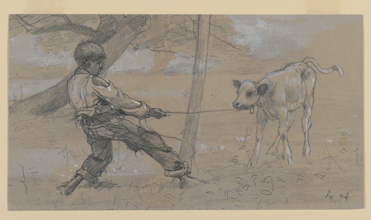 The Unruly Calf by Winslow Homer