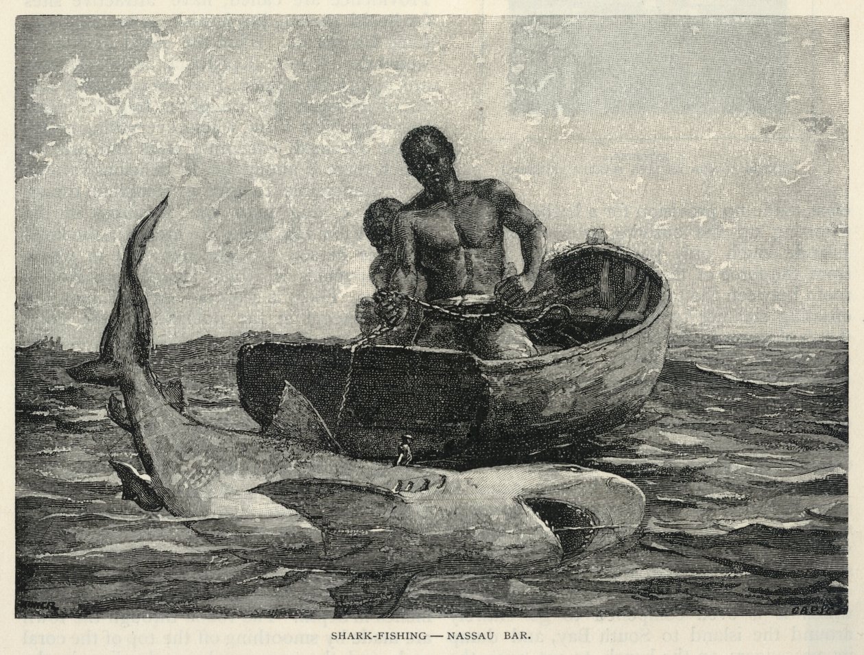 A Peddler, A Nassau Gateway, Shark-Fishing--Nassau Bar, from The Century Magazine, February 1887 by Winslow Homer