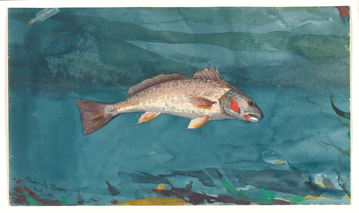 Channel Bass by Winslow Homer