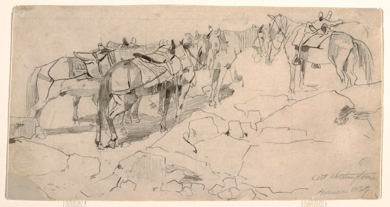 Study for "Mount Washington" and "The Summit of Mt. Washington", 1869 by Winslow Homer