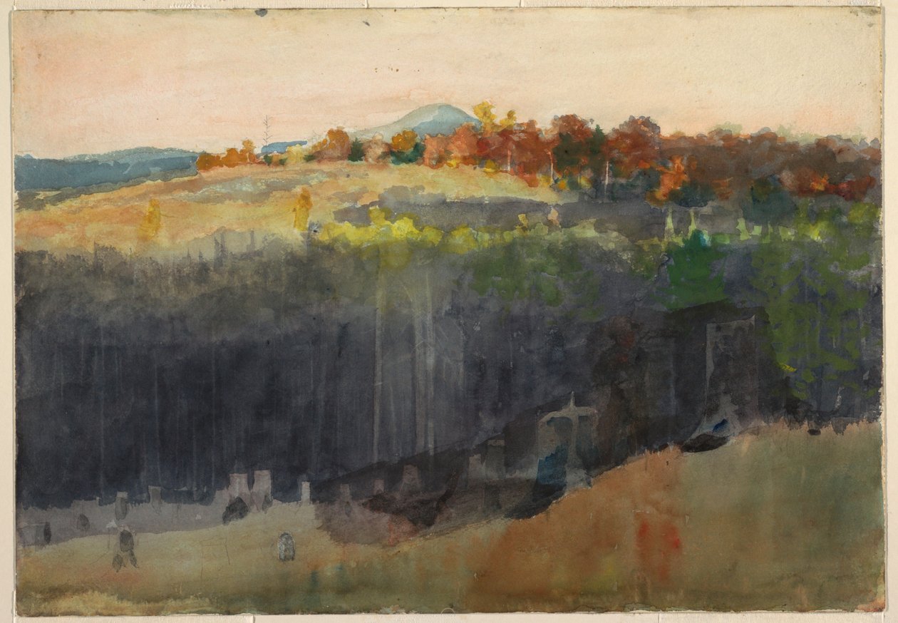 Valley and Hillside, Adirondacks, 1889–94 by Winslow Homer