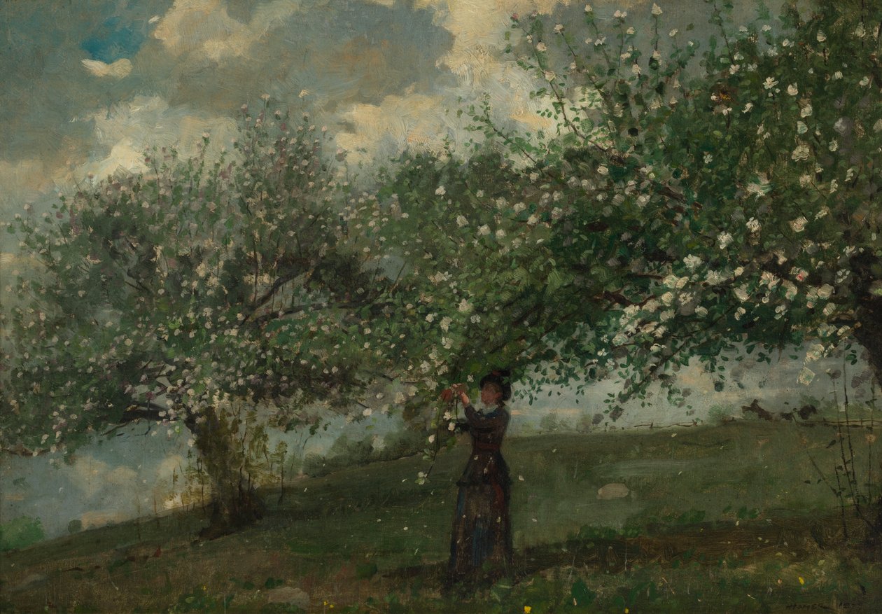 Girl Picking Apple Blossoms by Winslow Homer