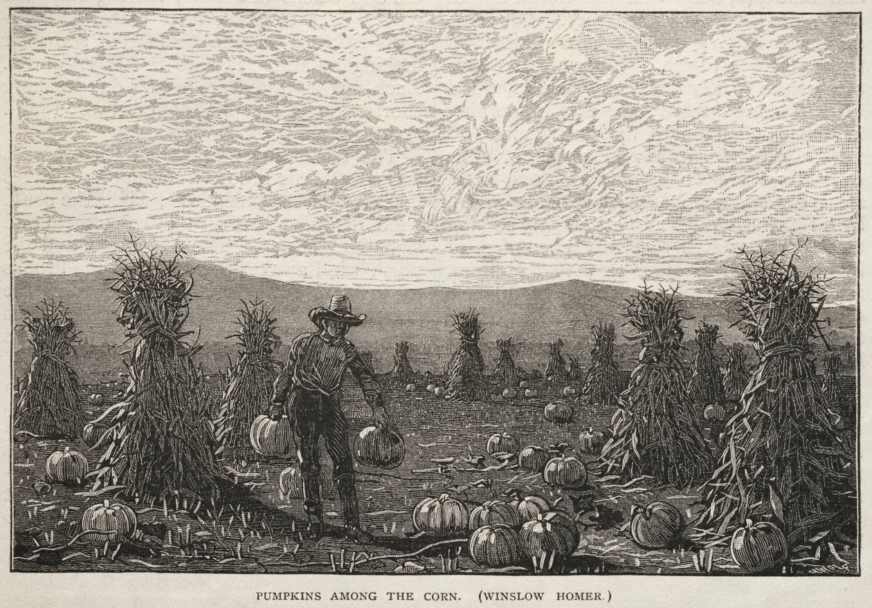 Pumpkins Among the Corn by Winslow Homer