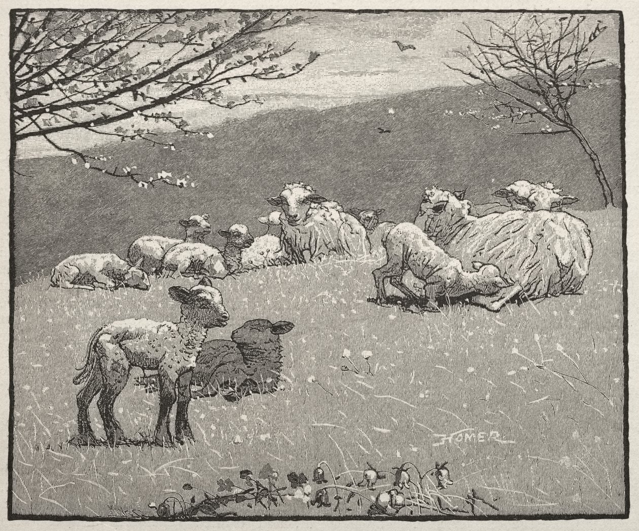 Spring Lamb by Winslow Homer