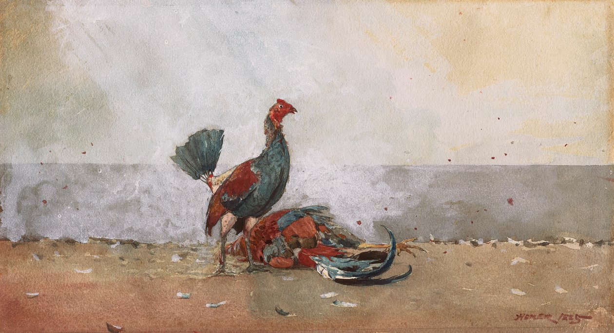 The Cock Fight by Winslow Homer