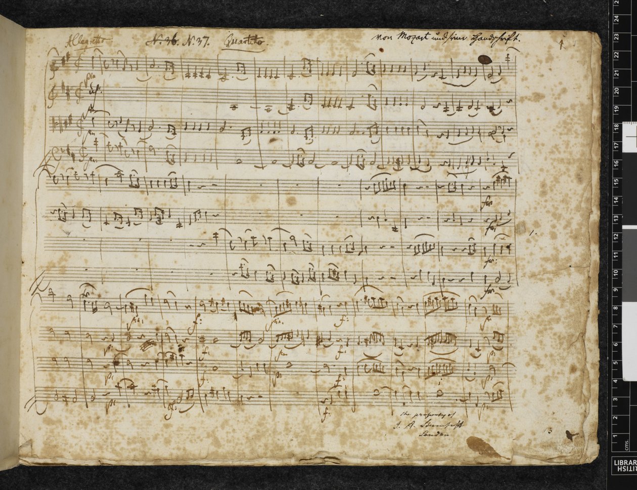 String quartet in D major, K. 499 by Wolfgang Amadeus Mozart