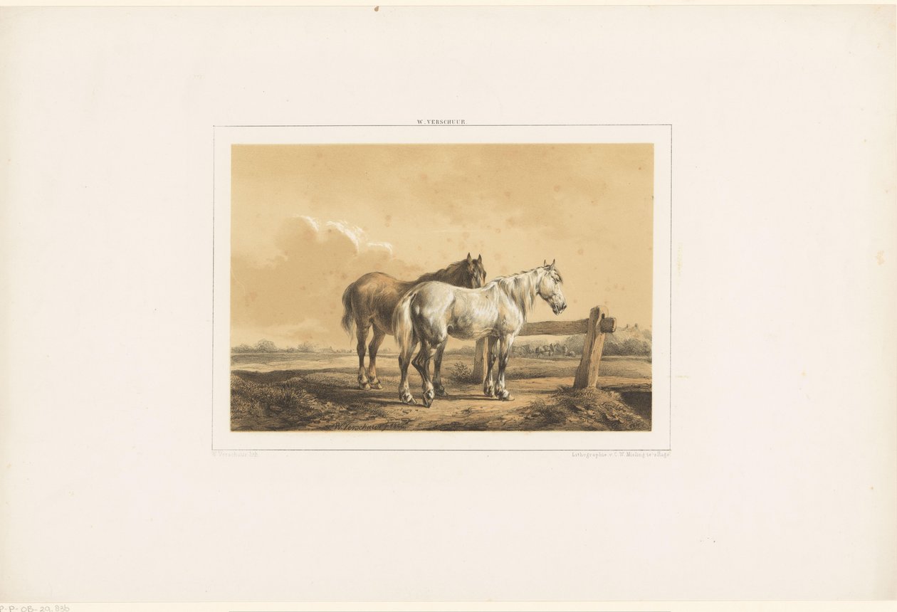 Two horses in a meadow by a fence by Wouter  Verschuur