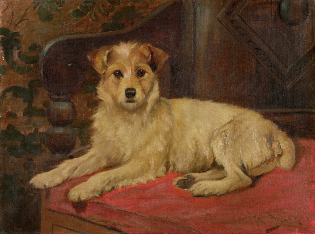 A Terrier on a Settee by Wright Barker