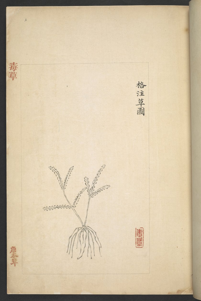 Plan from 