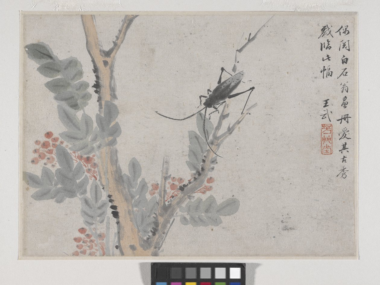Insect and Tree (after Shen Zhou) by Wu Wang