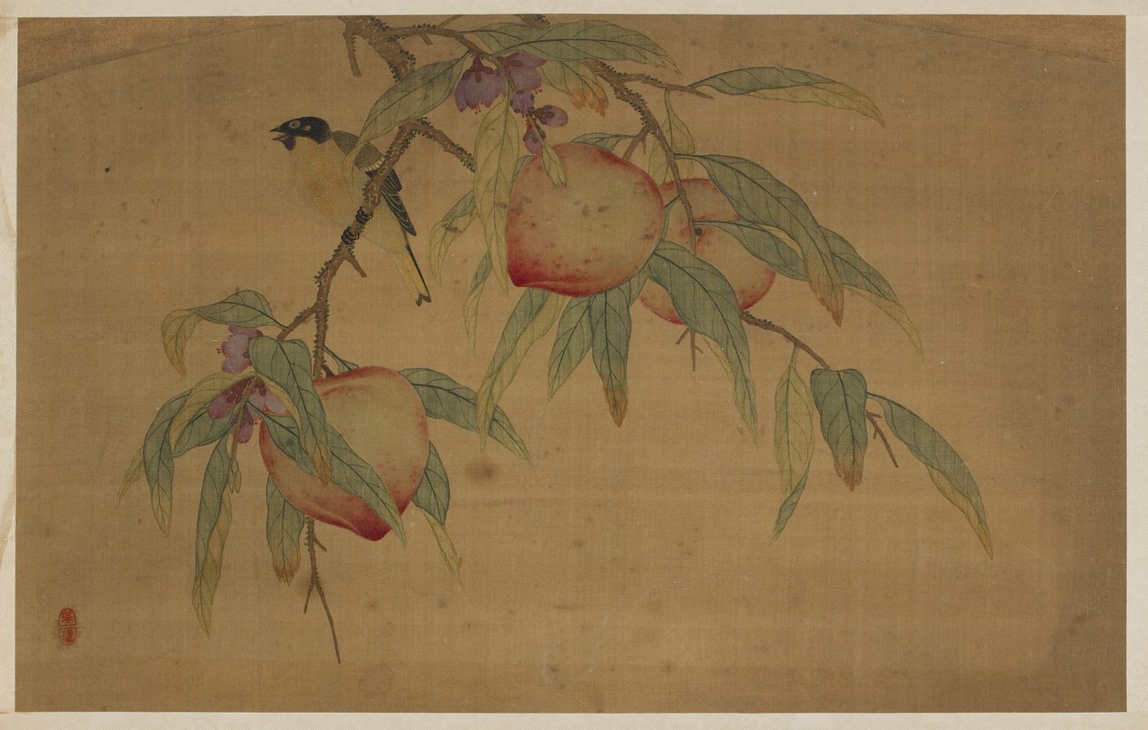 Bird, Fruit, and Flowers by Wu Zhang