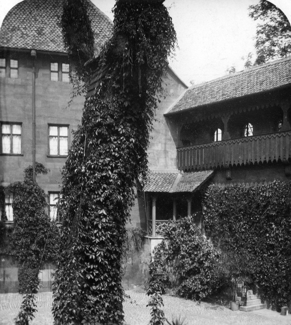 Lime tree in a courtyard, Nuremberg, Bavaria, Germany by Wurthle and Sons