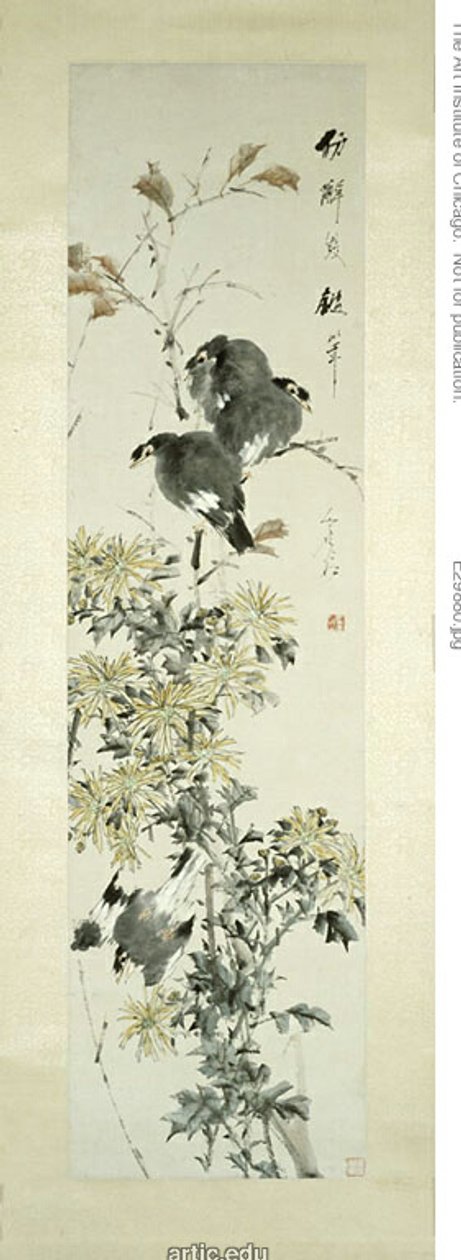 Crested Myna Birds and Chrysanthemums by Xugu
