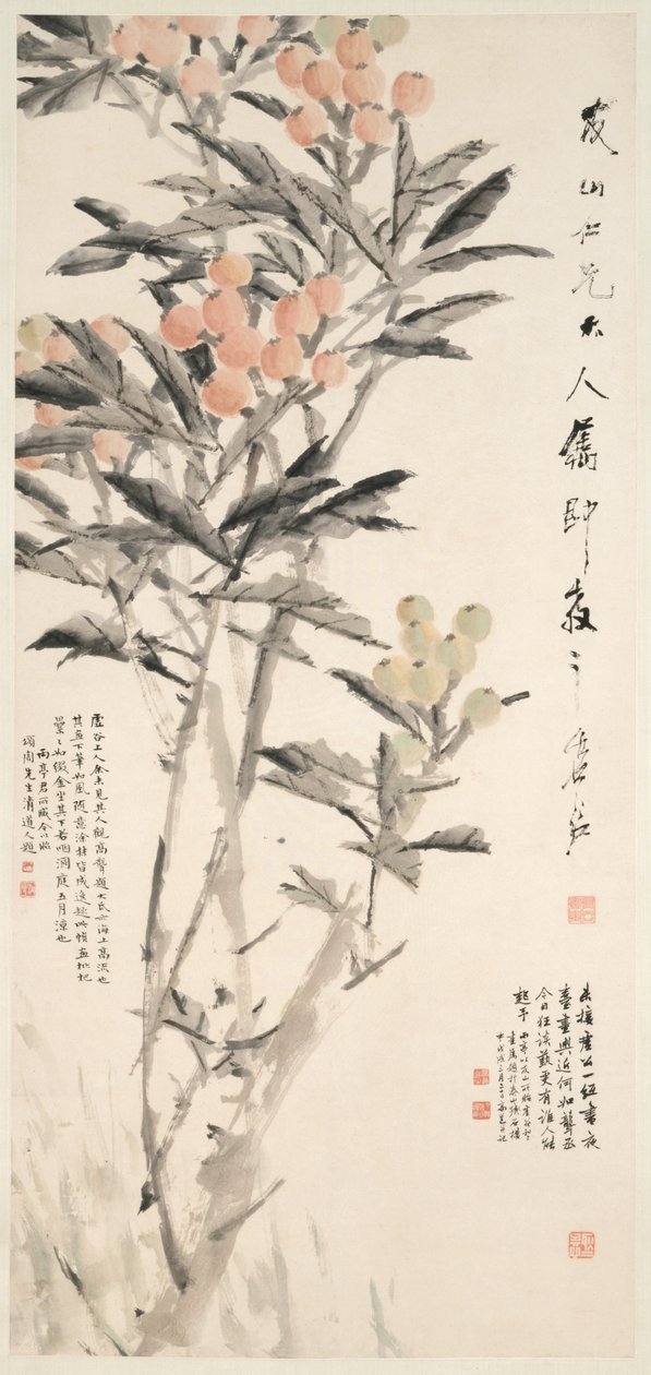 Pipa Loquats, c. 1888-89 by Xugu