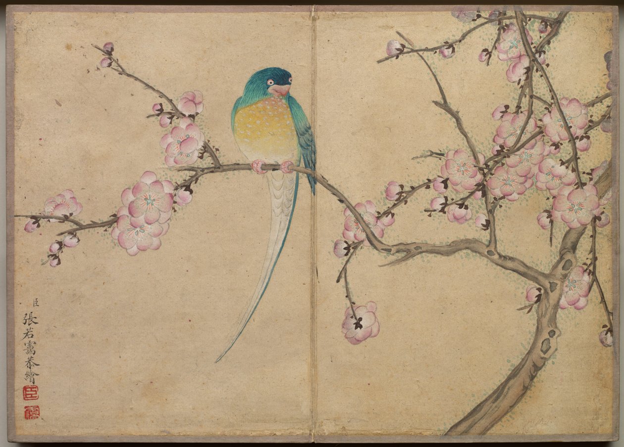 Desk Album: Flower and Bird Paintings Bird with Plum Blossoms by Zhang Ruoai