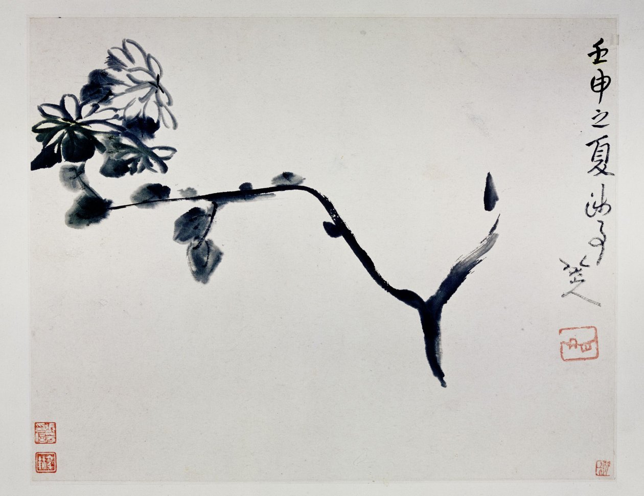 Chrysanthemum, 1692 by Zhu Da