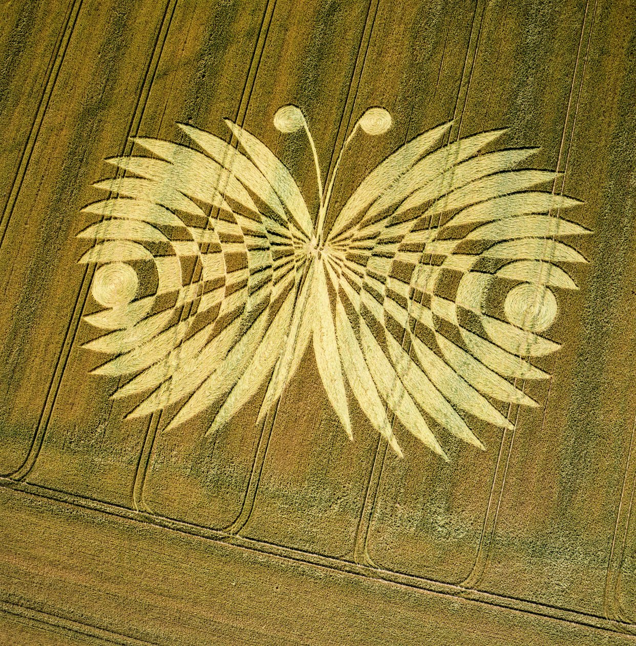 Crop circle in wheat field, Hailey Wood, Ashbury, Oxfordshire by Ferdinand Georg Waldmuller