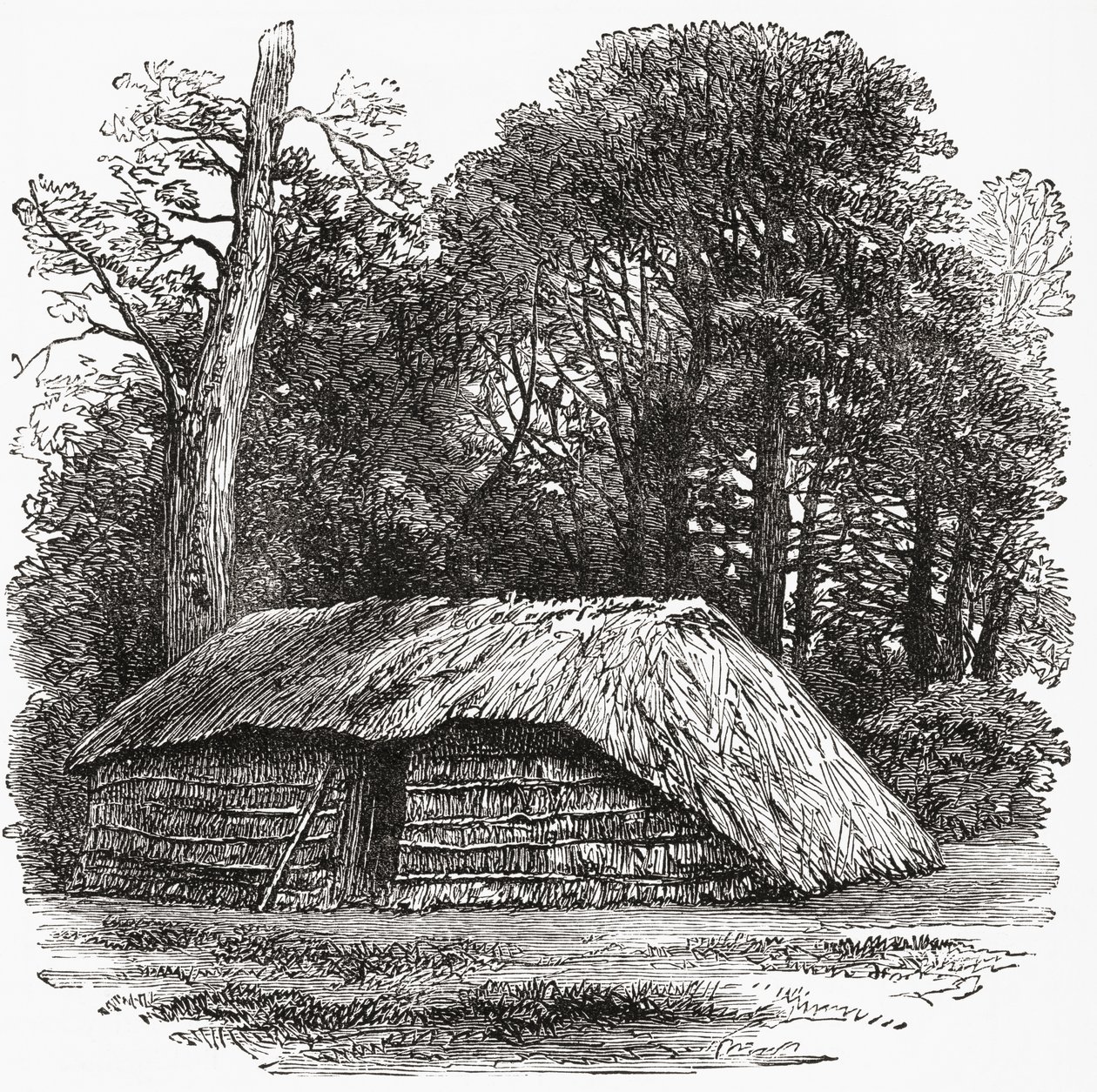 The Hut in Which Sir David Livingstone Died 1 May 1873 by . .