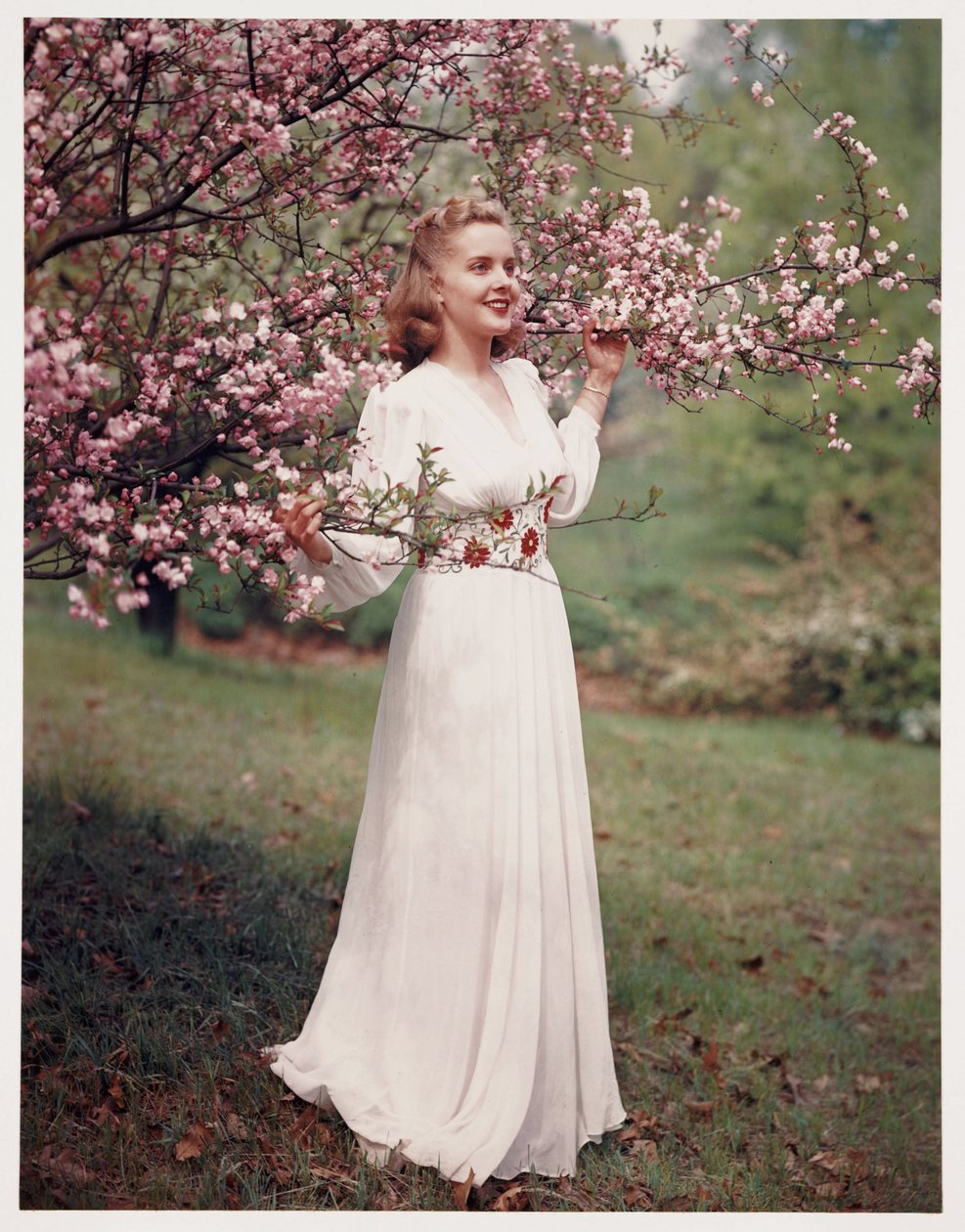 Woman modelling a dress near blossom, c 1940s by Frederick (attr. to) Barnard