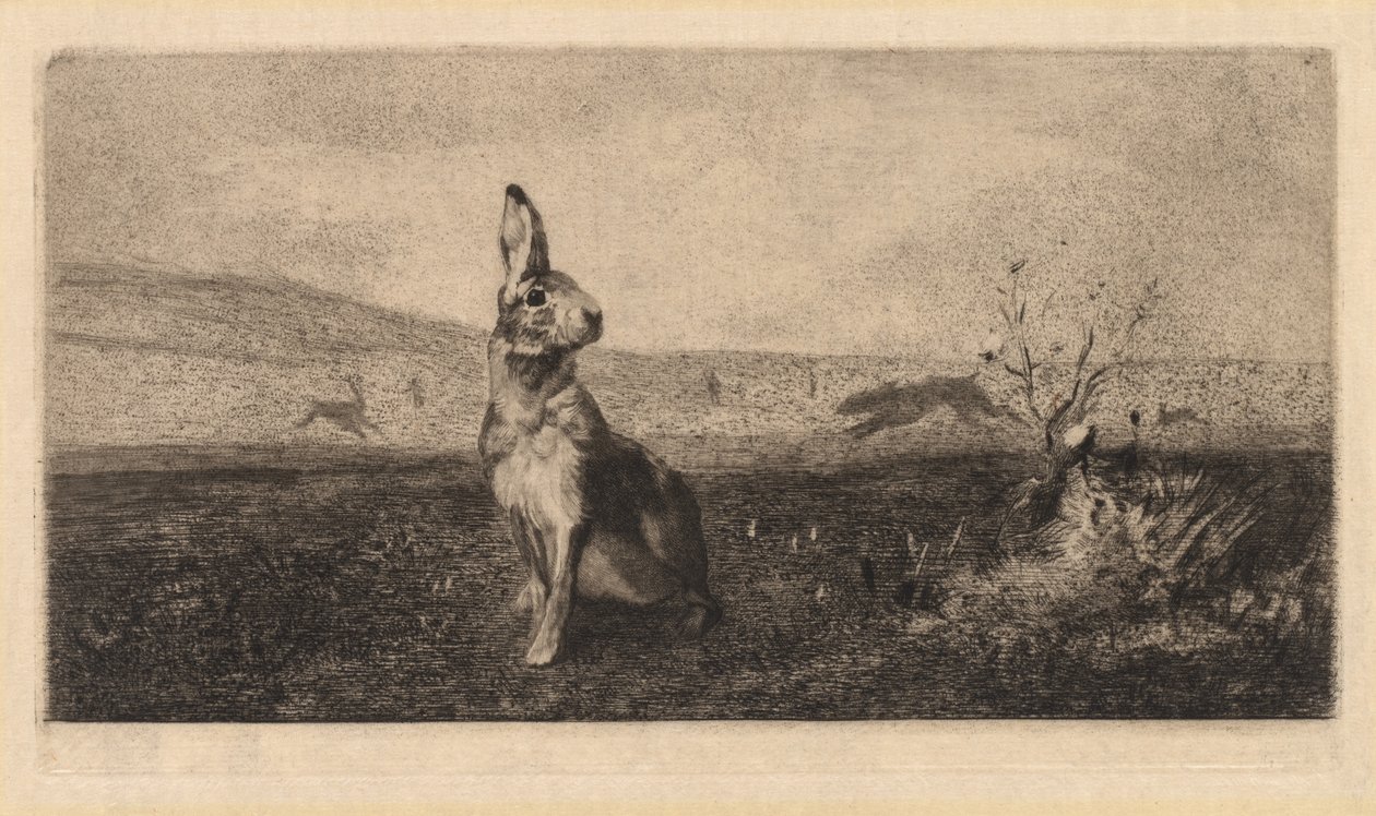 The Hare by after Albert de Balleroy
