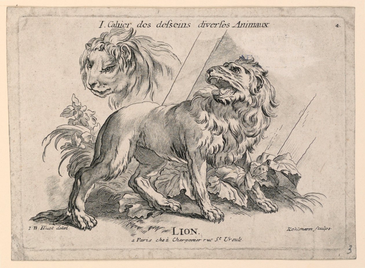 Studies of Lions, Plate 4 from 