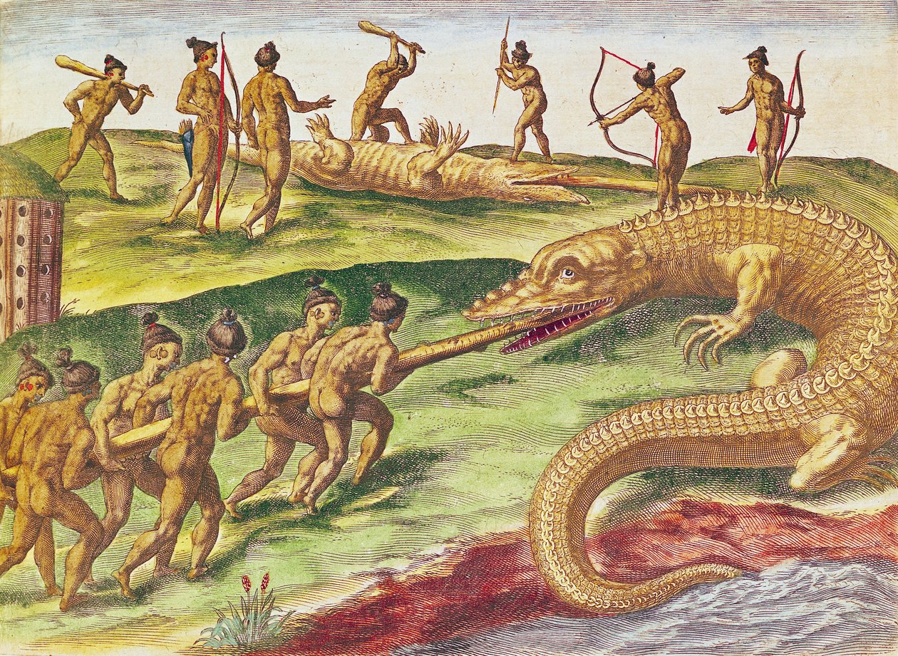 Hunting Crocodiles, from 