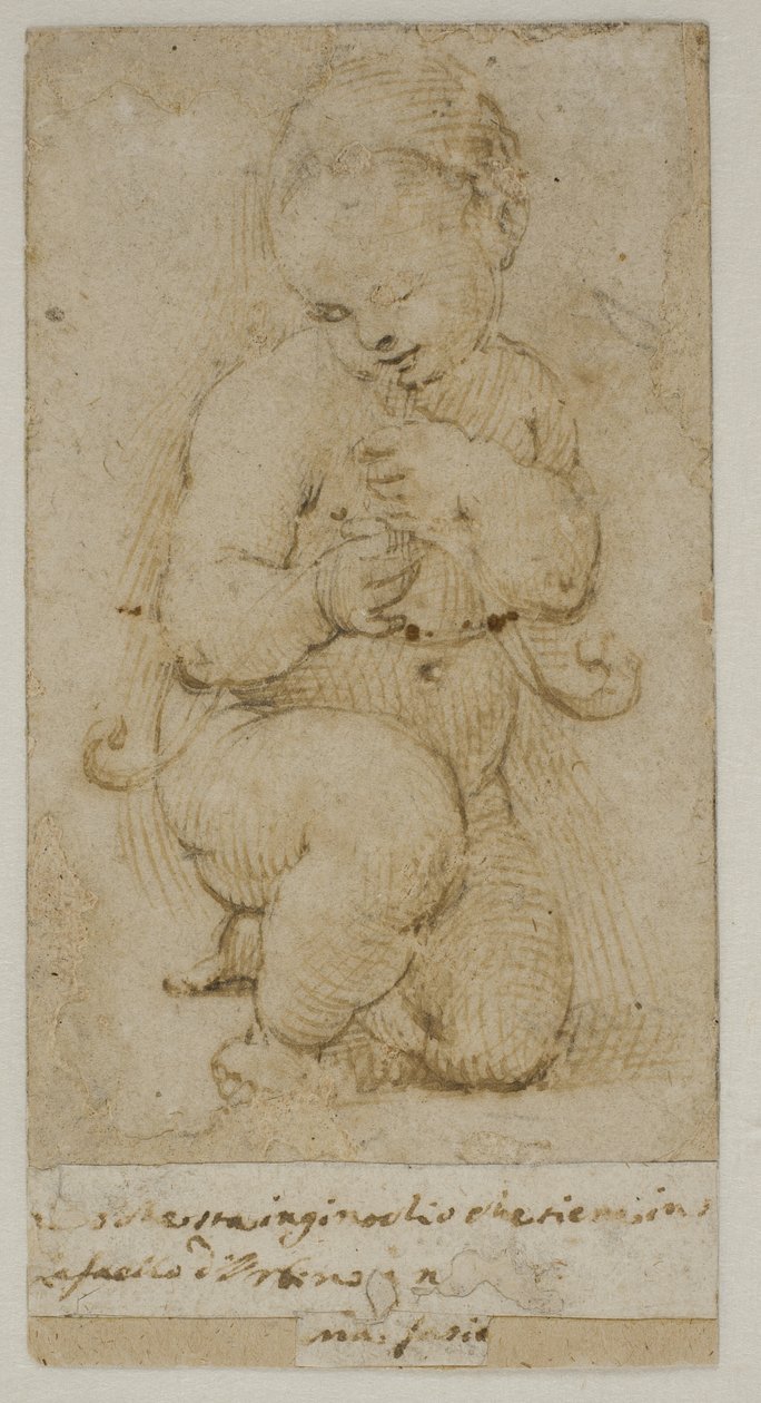 The Infant John the Baptist by after Raphael