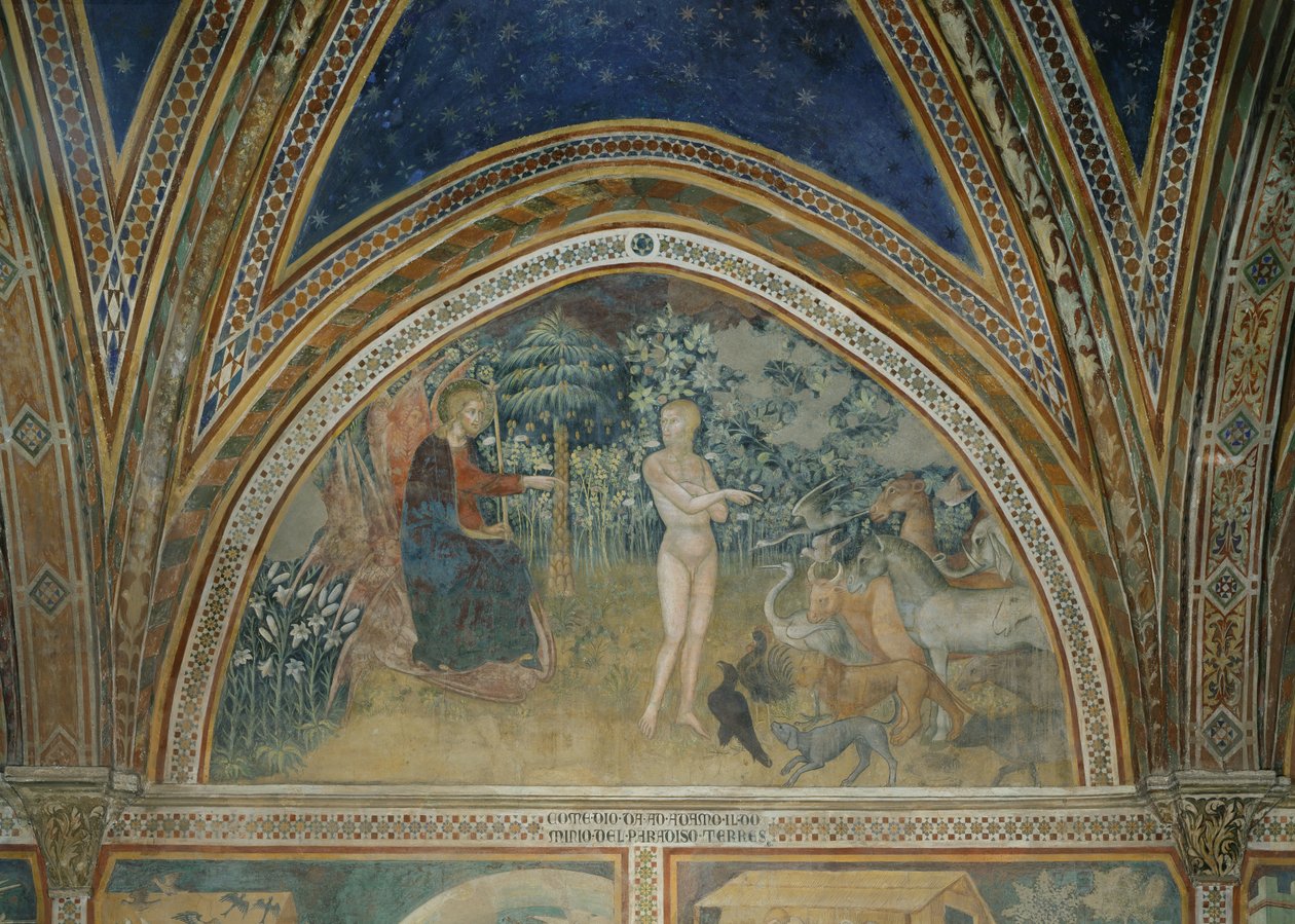 The Creation of Animals by also Manfredi de Battilori Bartolo di Fredi