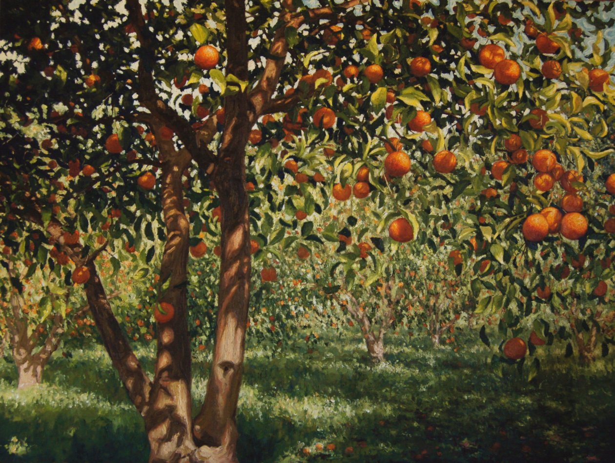 Silence under the Oranges II, 2012 by angus hampel