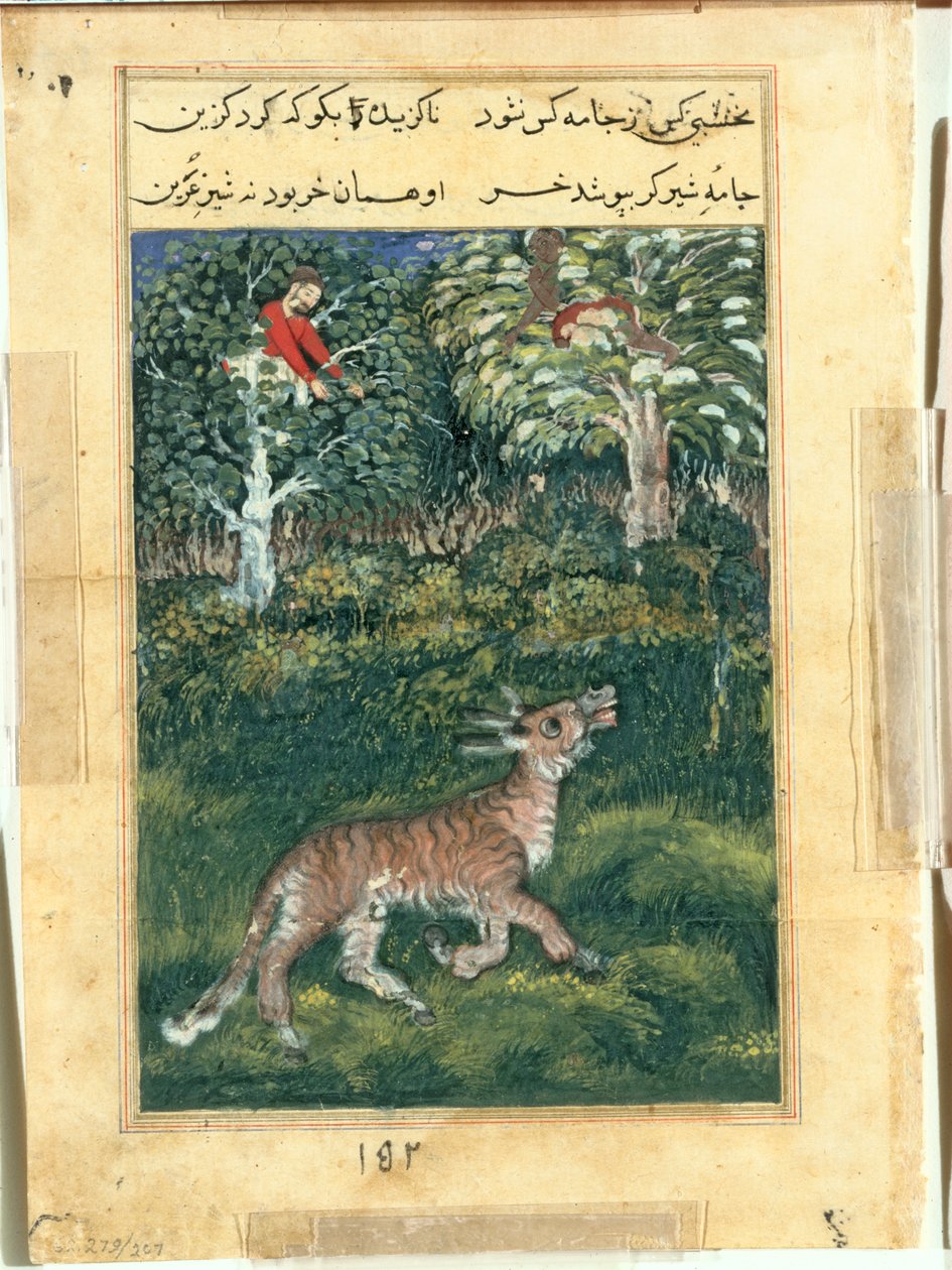 The donkey, in a tiger’s skin, reveals his identity by braying aloud, from a Tuti-nama (Tales of a Parrot): Thirty-first Night by attributed to Basavana