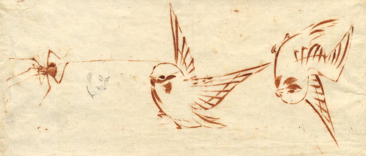 Sketch Page with Birds and Spider by attributed to Katsushika Hokusai