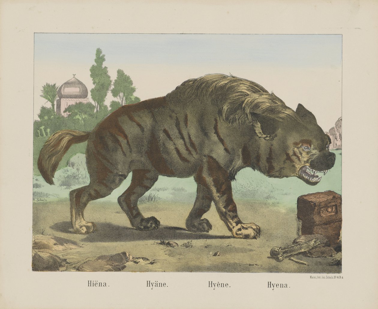 Hyena by firma Joseph Scholz