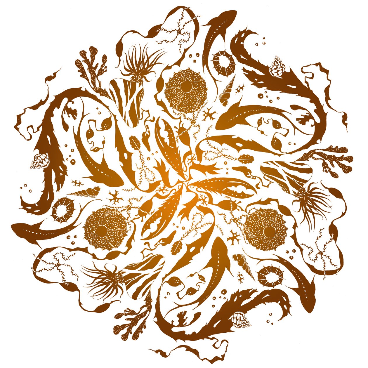 Mare Marginis by julia McKenzie: Premium art reproduction