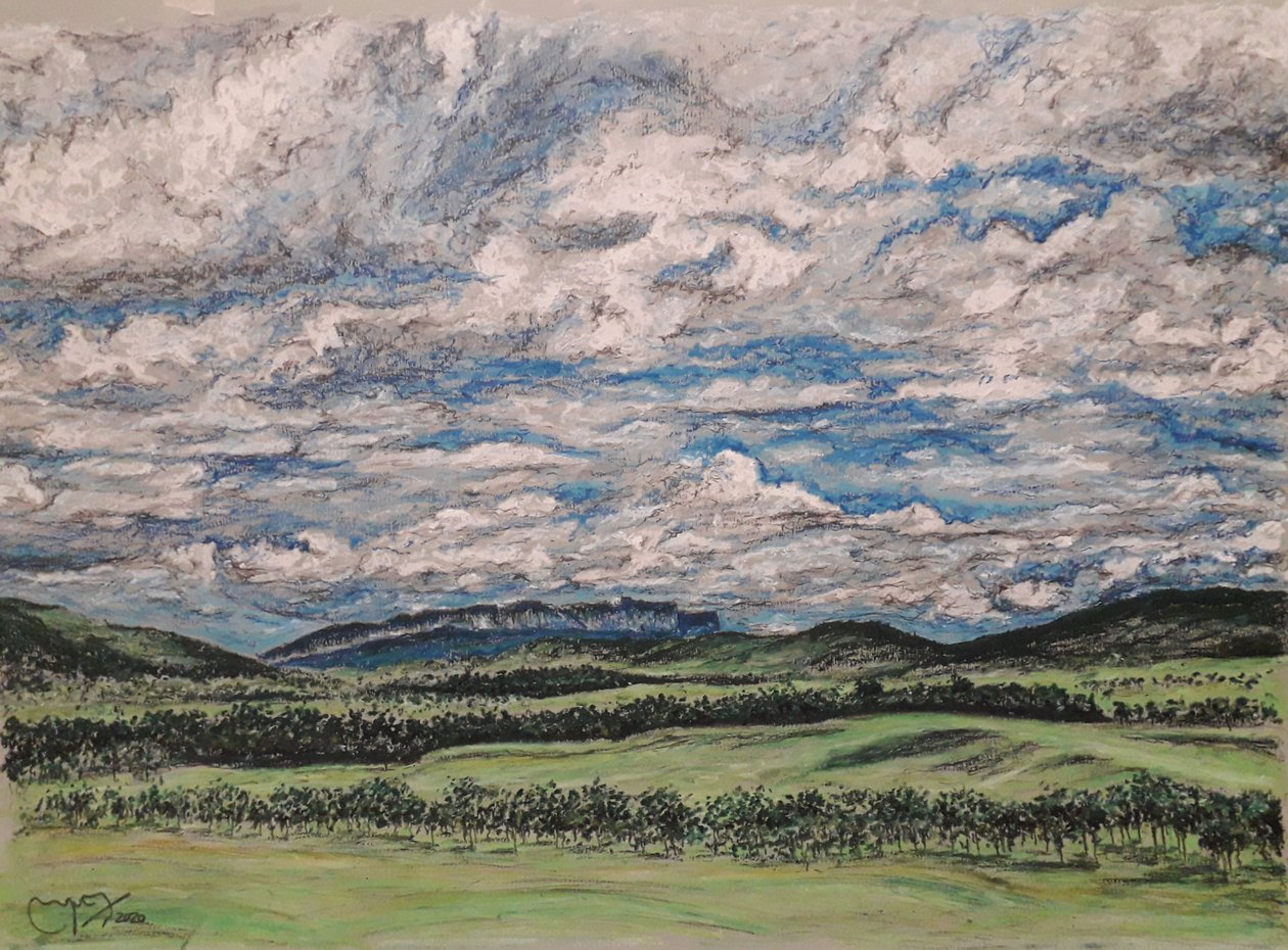 The Great Savannah, Venezuela by miguelmendez_art.ve