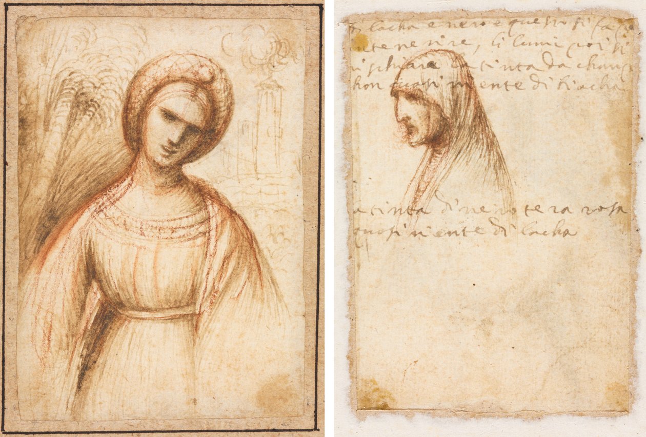 Lady in a Landscape; Bust-Length Profile of an Old Woman by possibly by Dosso Dossi