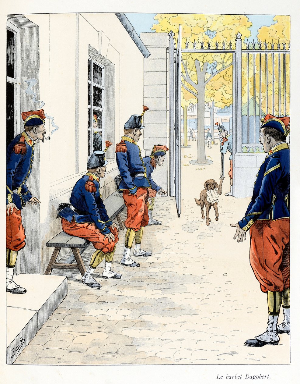 The Barbet Dagobert from 