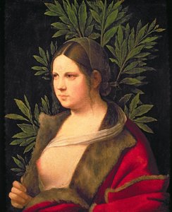 Portrait of a Young Woman (Laura)