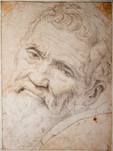 Portrait of Michelangelo Buonarroti by Daniele da  Volterra