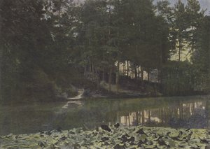 Bois de Boulogne, The Reservoir by (after) French Photographer