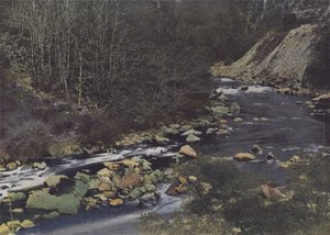 Gorges of the Cere near Laval de Cere by (after) French Photographer