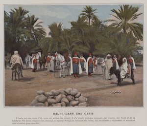 Stop in an Oasis