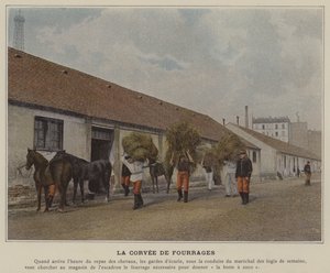 The Forage Duty by (after) French Photographer