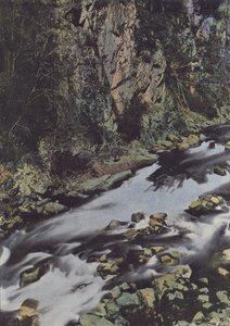 The Gorges of the Cere at Lamativie