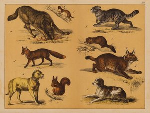 Animals by (after) German School
