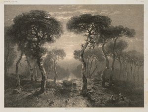 Oeuvres de A. Calame, No. 13: Forêt de Sierre en Valais