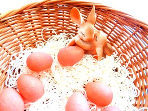 Easter Bunnies