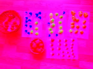Neon Eggs